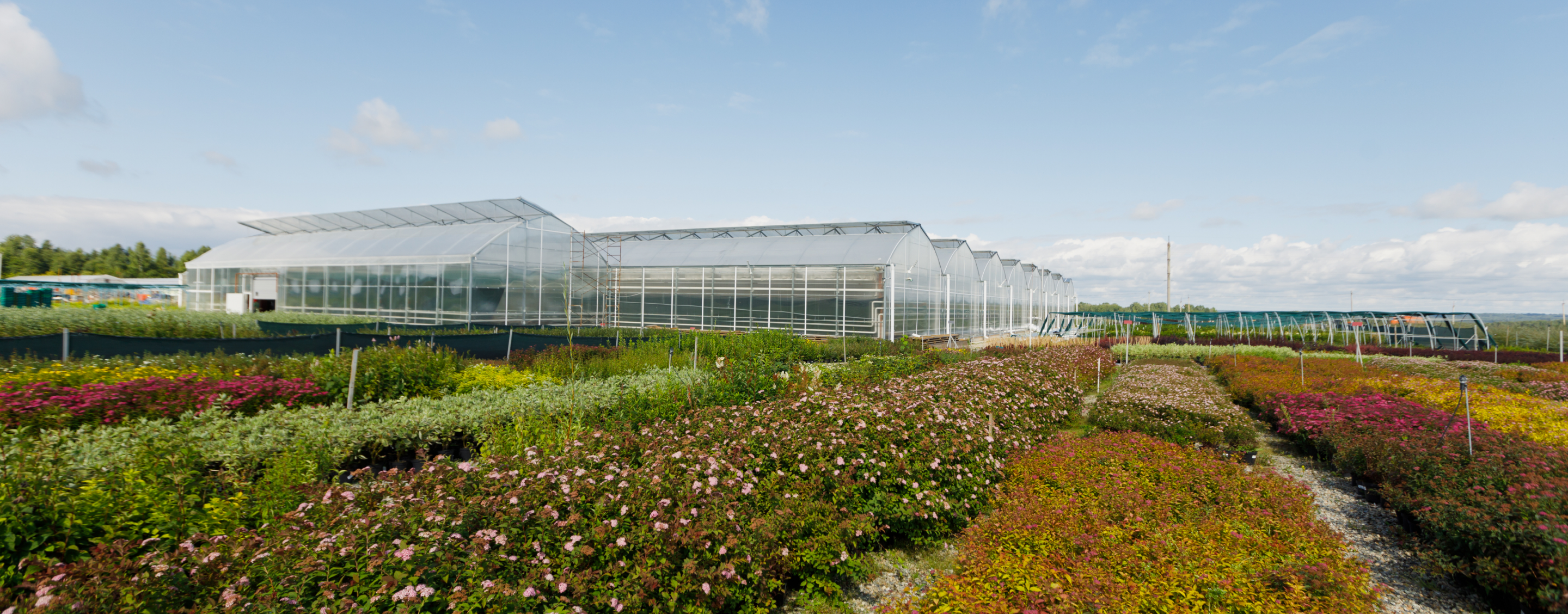 Vermont farm landscape